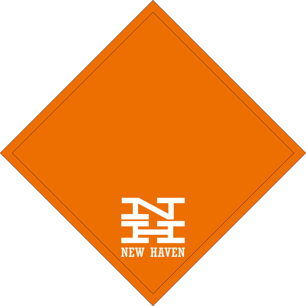 New Haven McGinnis Logo Railroad Fleece Blanket