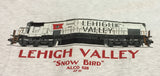 Lehigh Valley "Snow Bird" Shirt
